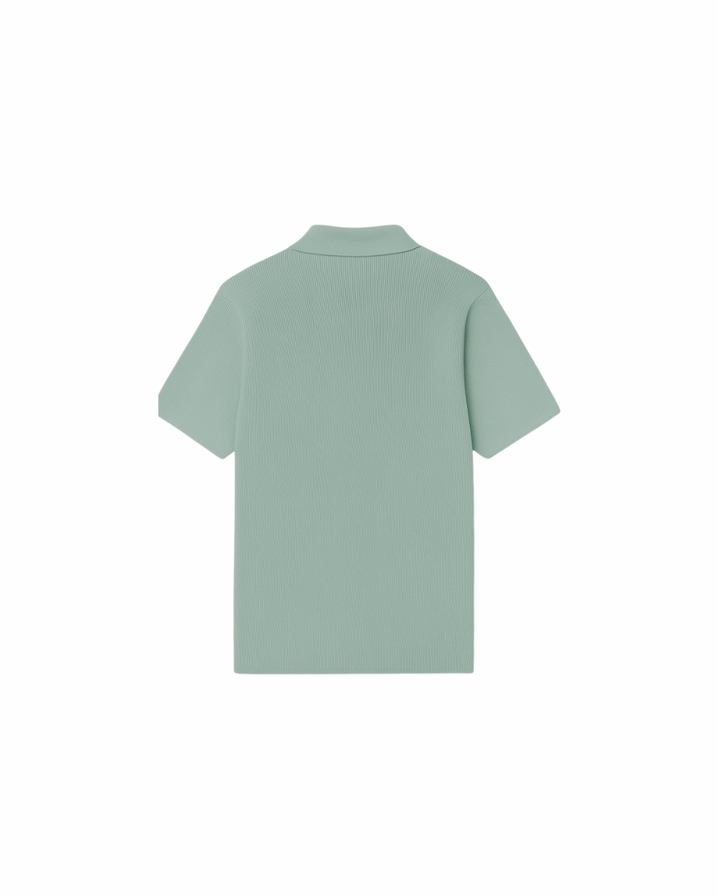 Textured Collar Polo