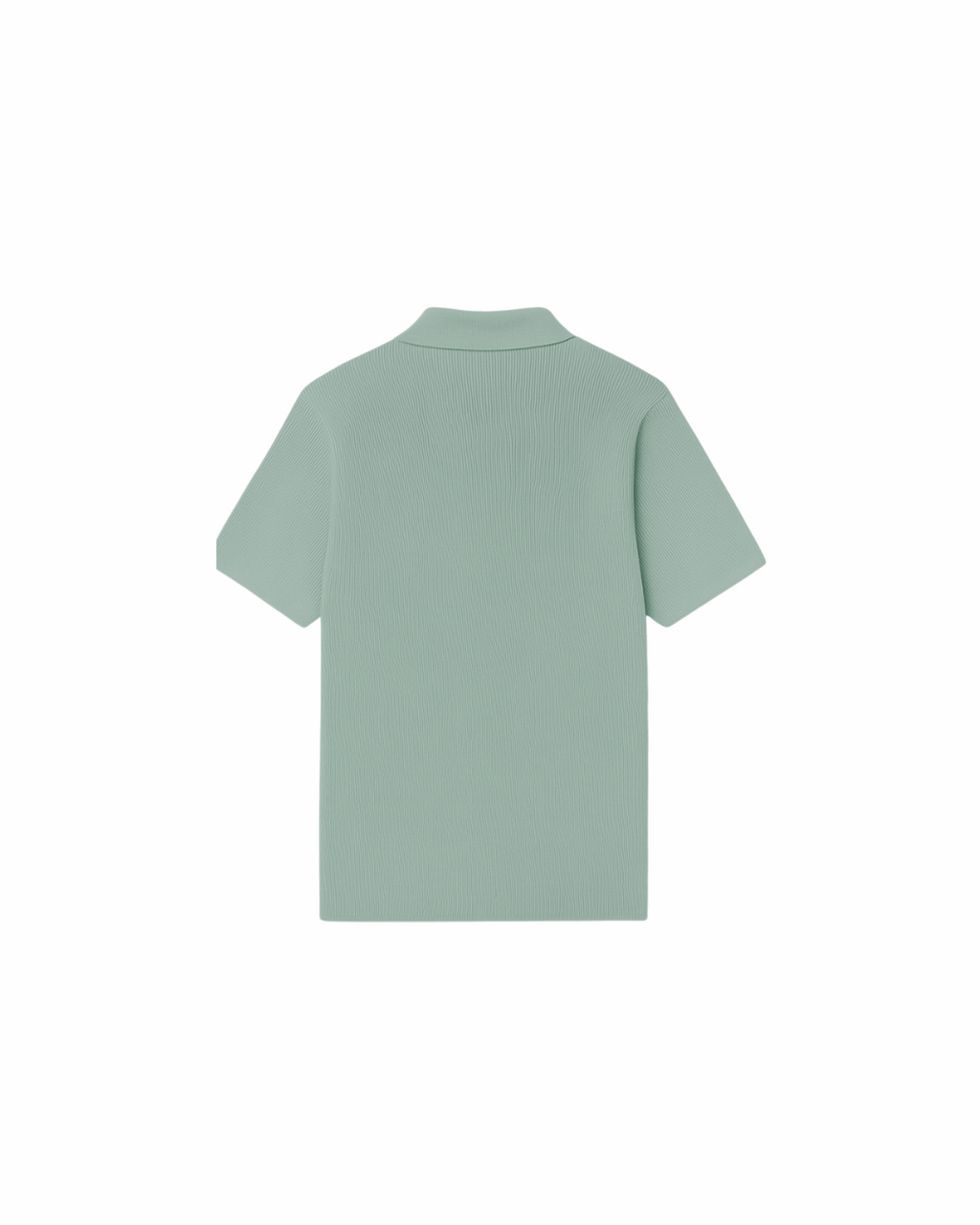 Textured Collar Polo